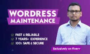 Monthly WordPress Maintenance Service